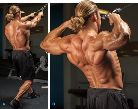 a strong and healthy back